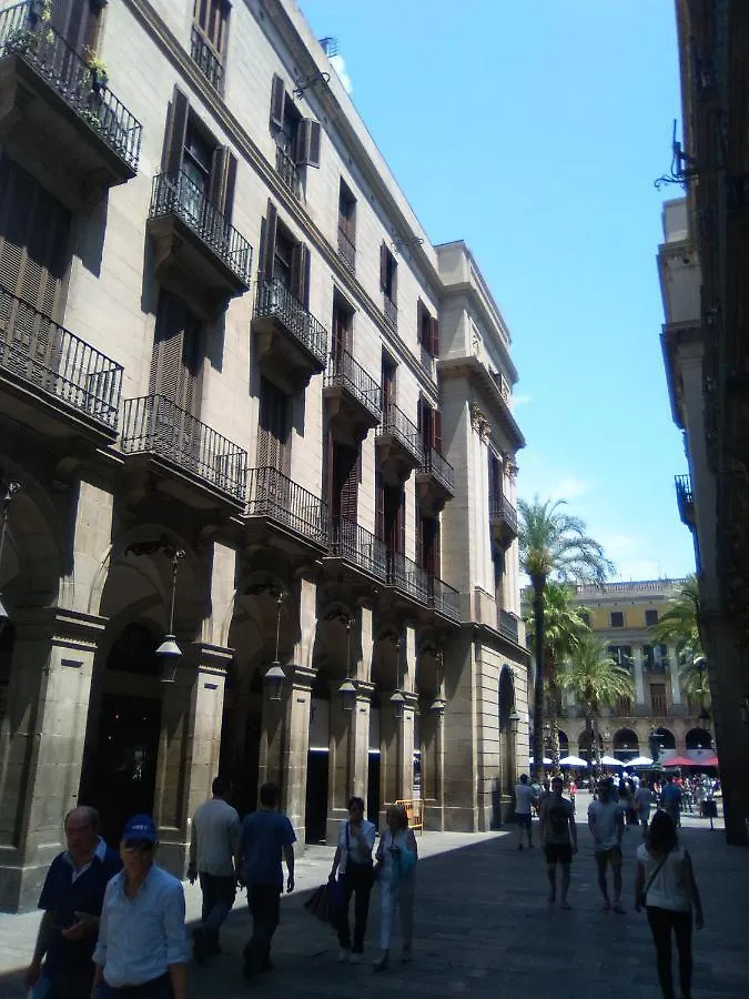 Colom Apartments Barcelona