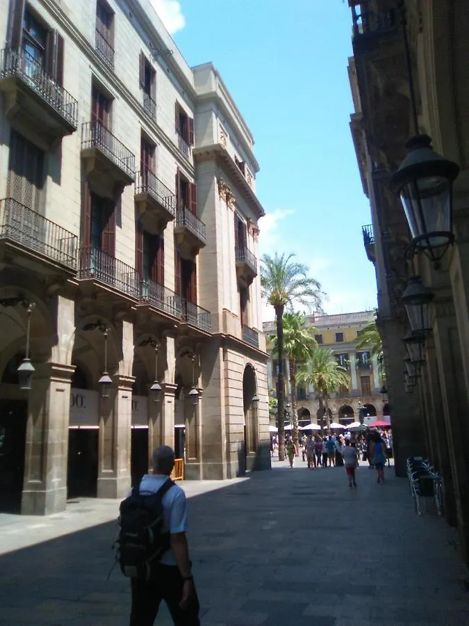 Colom Apartments Barcelona